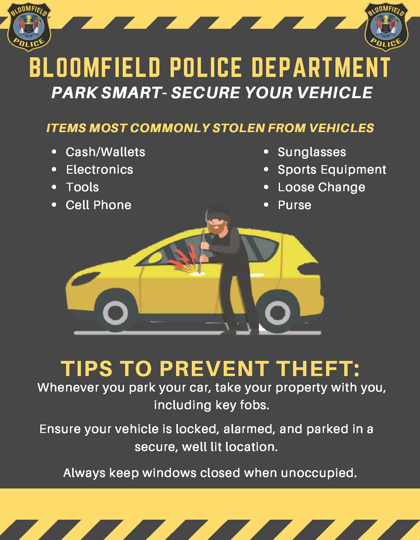 theft from auto flyer